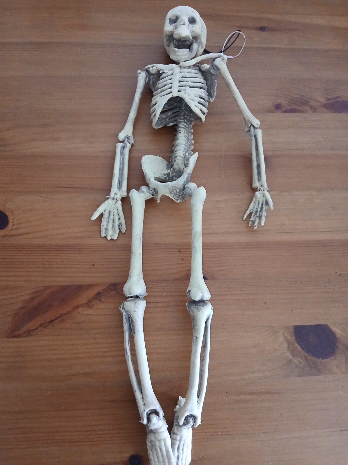 skelet voor heloween, Ophalen of Verzenden, Overige typen, Halloween of Griezel