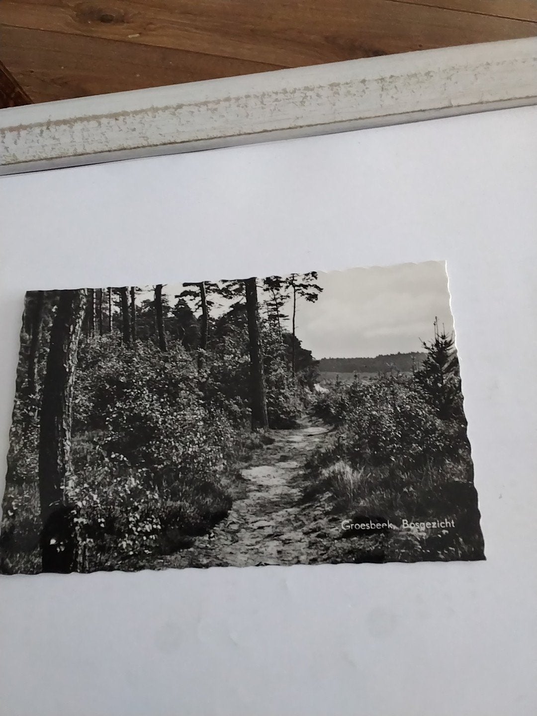 Oude Ansichtkaart Groesbeek Bosgezicht - Zwart-wit, Verzamelen, Ansichtkaarten | Nederland, Ophalen of Verzenden, 1920 tot 1940