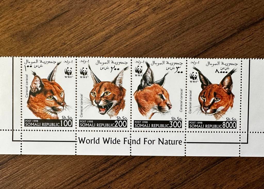 Somalie WWF dieren Caracal postfris (illegale uitgifte), Postzegels en Munten, Ophalen of Verzenden, Postfris