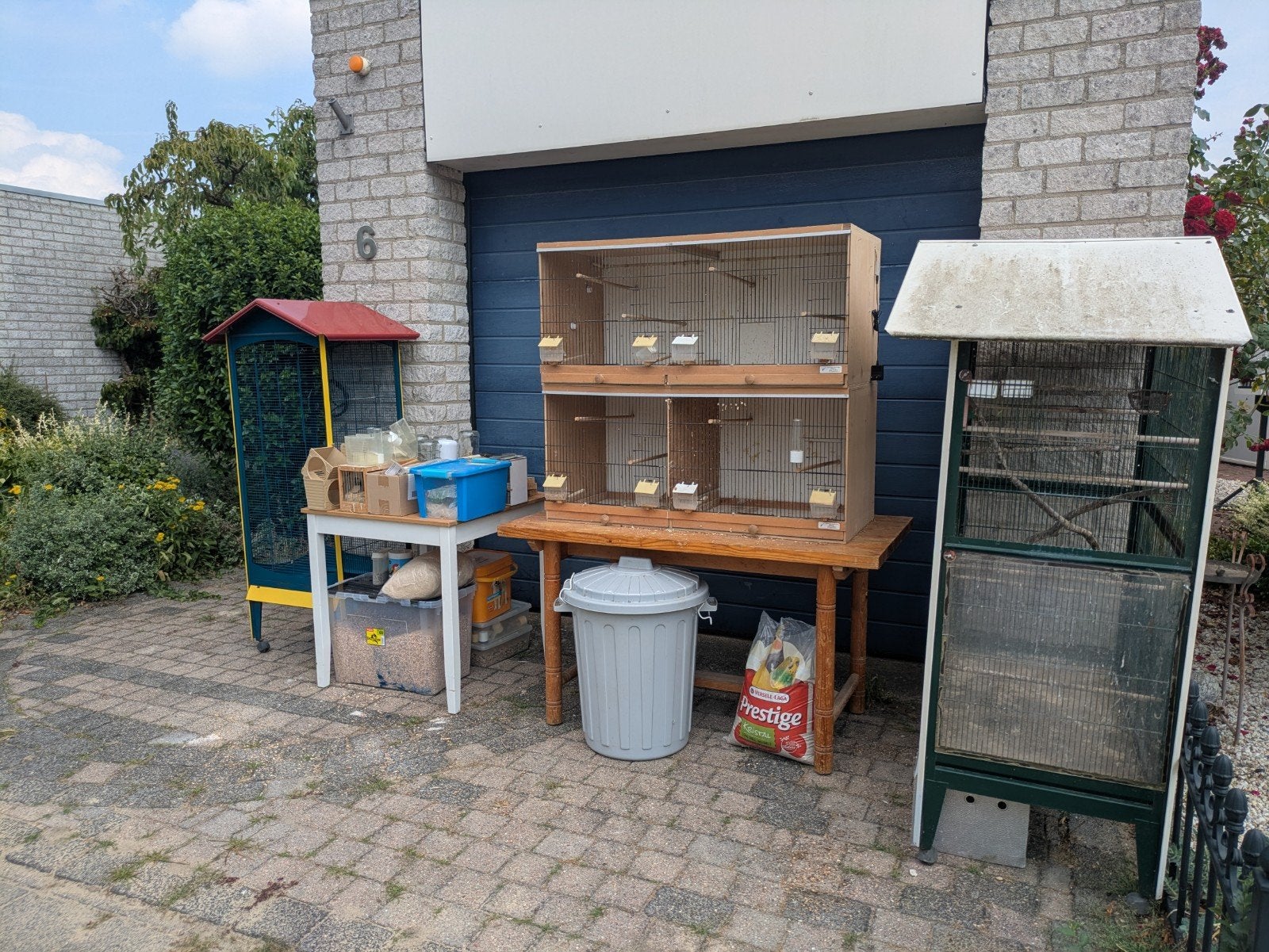 Gratis vogel hobby benodigdheden, Ophalen