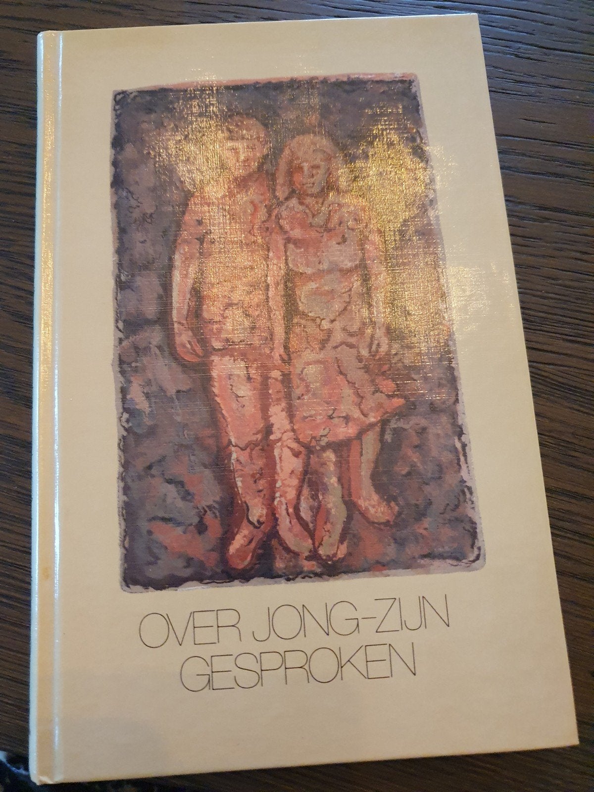 Over jong-zijn gesproken - Boek voor jongeren, Ophalen of Verzenden, Gelezen, Diverse auteurs