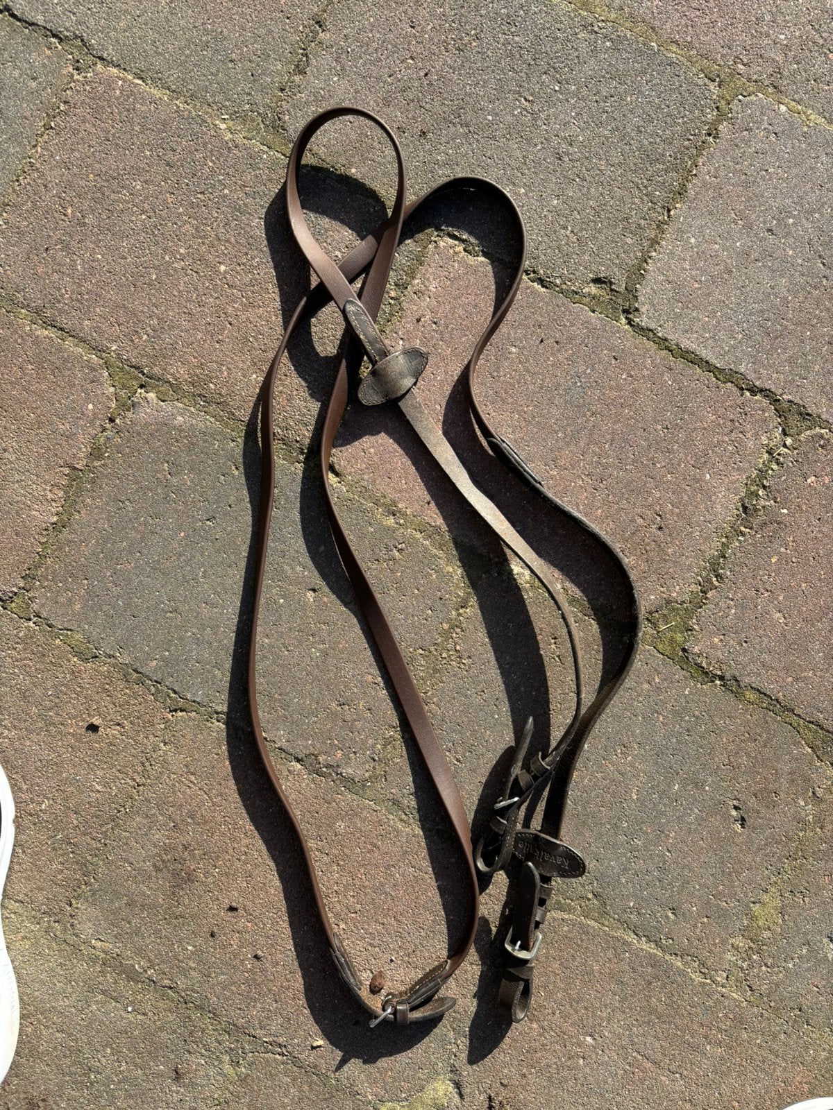 Teugels bruin, Ophalen of Verzenden, Gebruikt, Dressuur