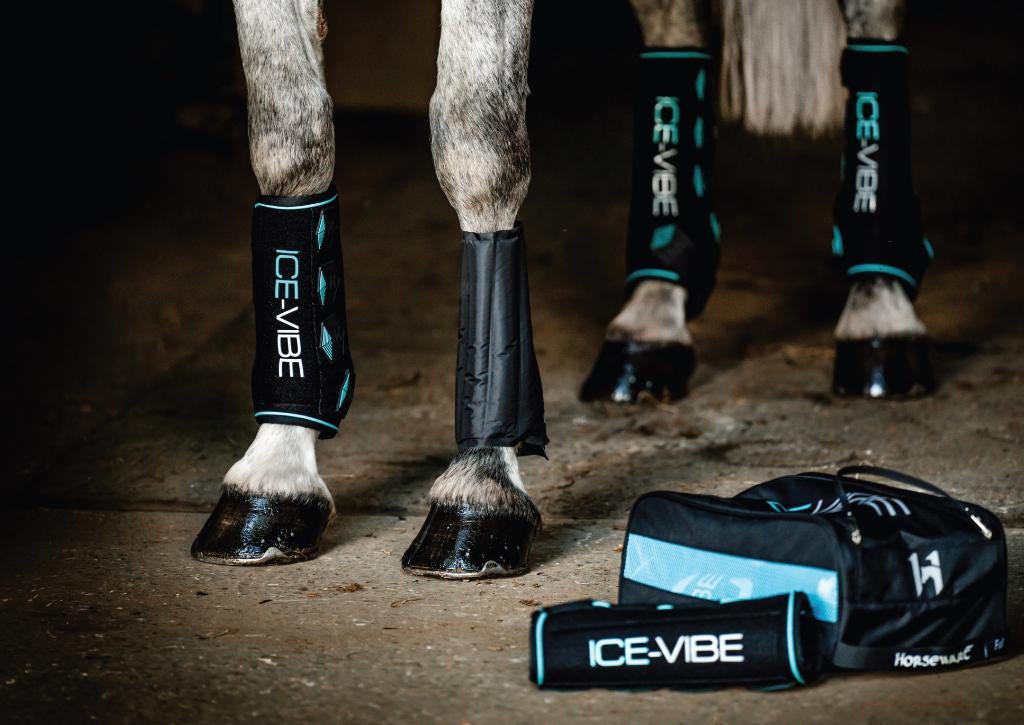 Ice-Vibe Boots II, Leg Wraps, nieuwste model!, Dieren en Toebehoren, Ophalen of Verzenden, Nieuw