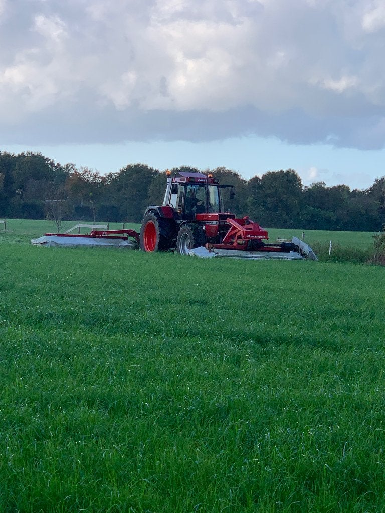 Balen kuilgras te koop, Dieren en Toebehoren, Dierenvoeding, Ophalen, Vee