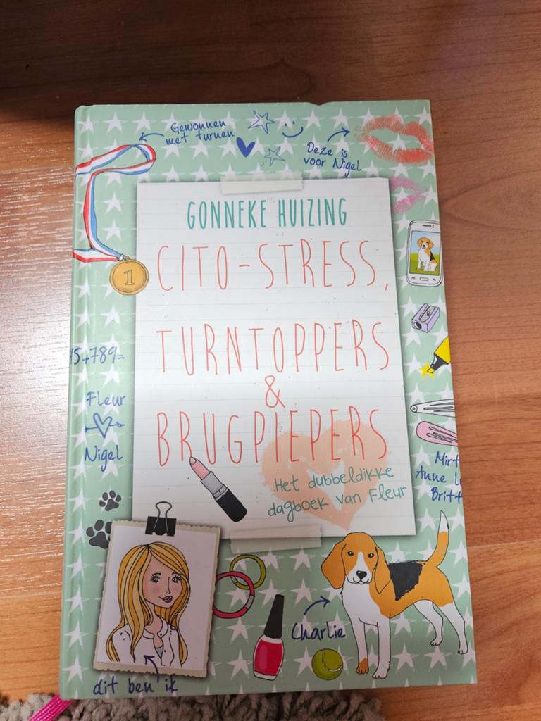 Gonneke Huizing - Cito-stress, turntoppers en brugpiepers, Boeken, Ophalen of Verzenden, Zo goed als nieuw, Gonneke Huizing