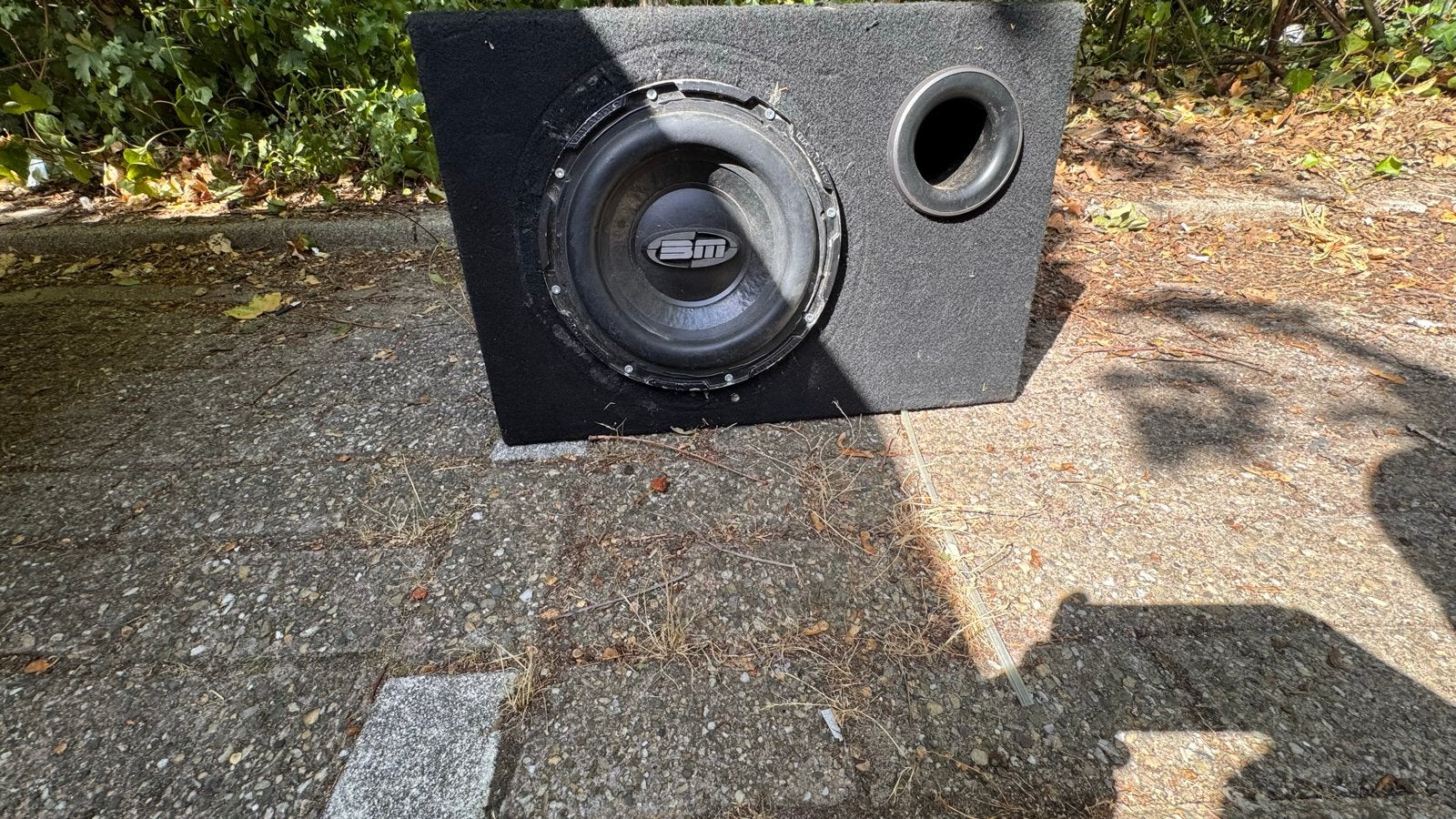ESM Subwoofer in behuizing, Ophalen of Verzenden, Gebruikt