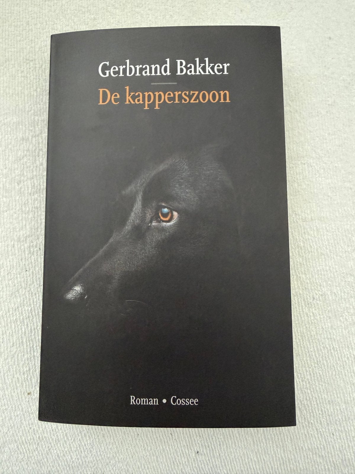 De kapperszoon - Gerbrand Bakker (Roman), Boeken, Ophalen of Verzenden, Zo goed als nieuw, Nederland