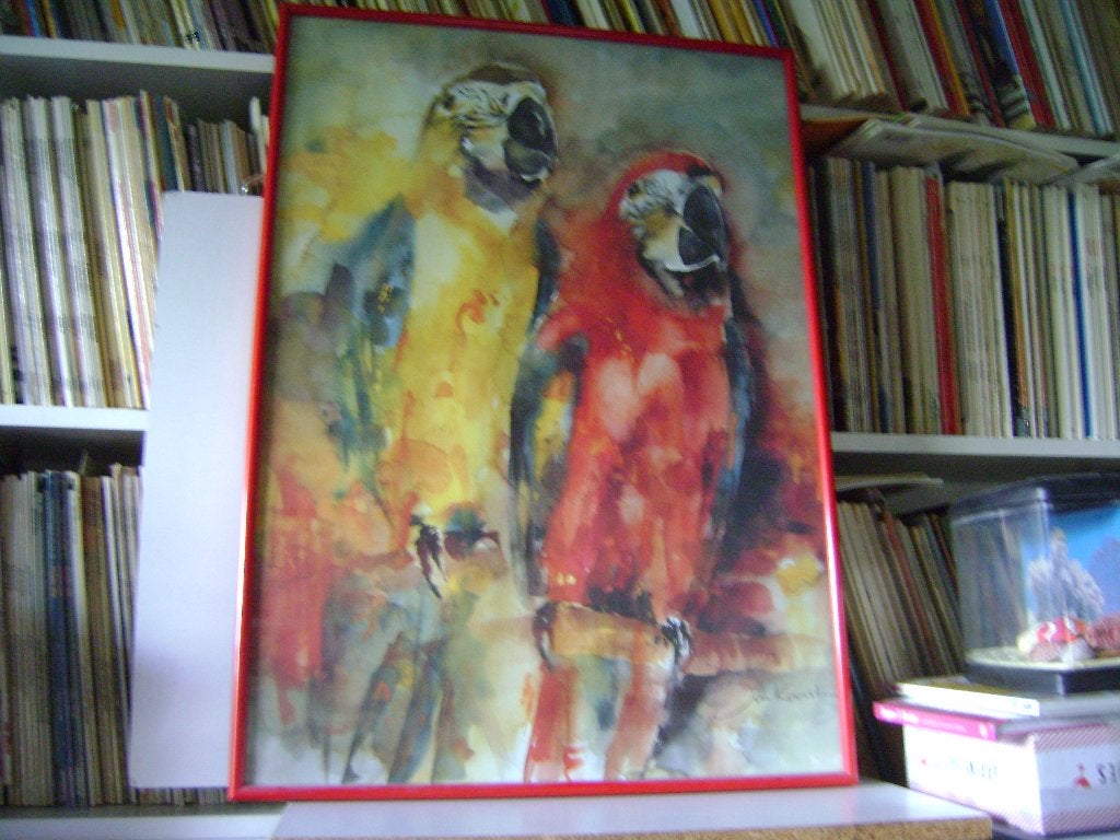 Mooi ingelijste aquarel poster van 2 ara's van Jan Kooistra, Ophalen, 71 cm, Meerkleurig, Decoratieobject