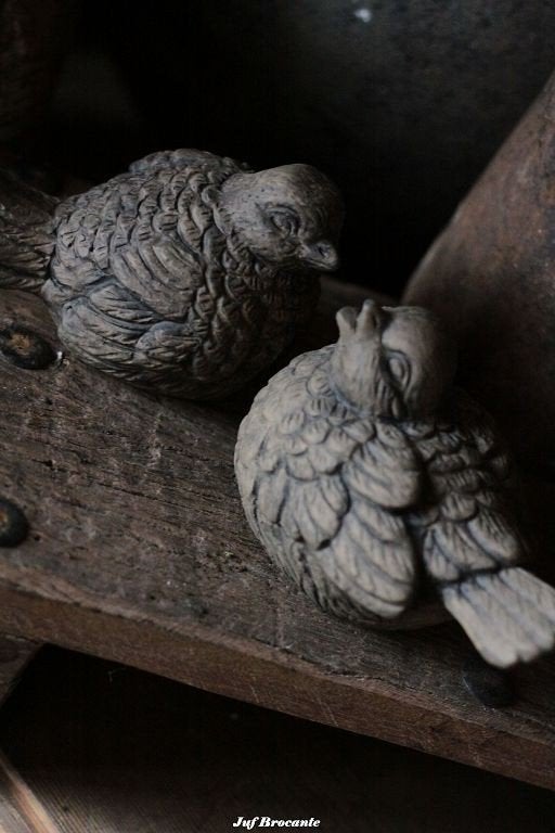 BRYNXZ Set 2 Birds classic Majestic Brown/set van 2 vogels, Www.jufbrocante.nl, Www.jufbrocante.nl, Nieuw, Ophalen of Verzenden