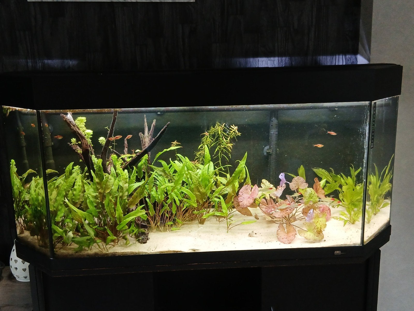aquarium , 120 cm, incl buitenfilter, verlichting en kast, Dieren en Toebehoren, Ophalen, Gebruikt, Leeg aquarium, Inclusief deksel
