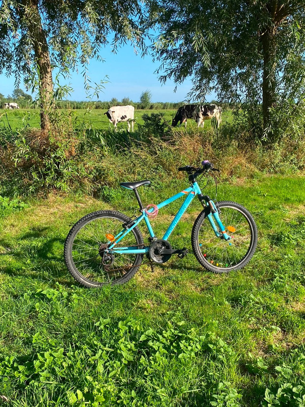 Kinderfiets 24 inch - Lichtblauw, Fietsen en Brommers, Fietsen | Kinderfietsjes, Ophalen, Gebruikt, Velgrem, 20 inch of meer