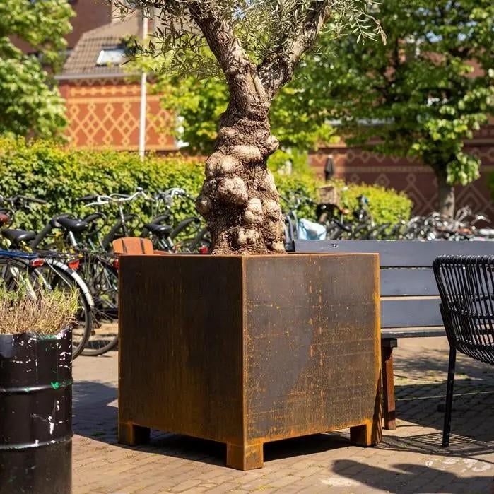 Cortenstalen Bloembakken - Diverse Maten en Vormen, 100 cm of meer, Nieuw, Ophalen of Verzenden, Balkon