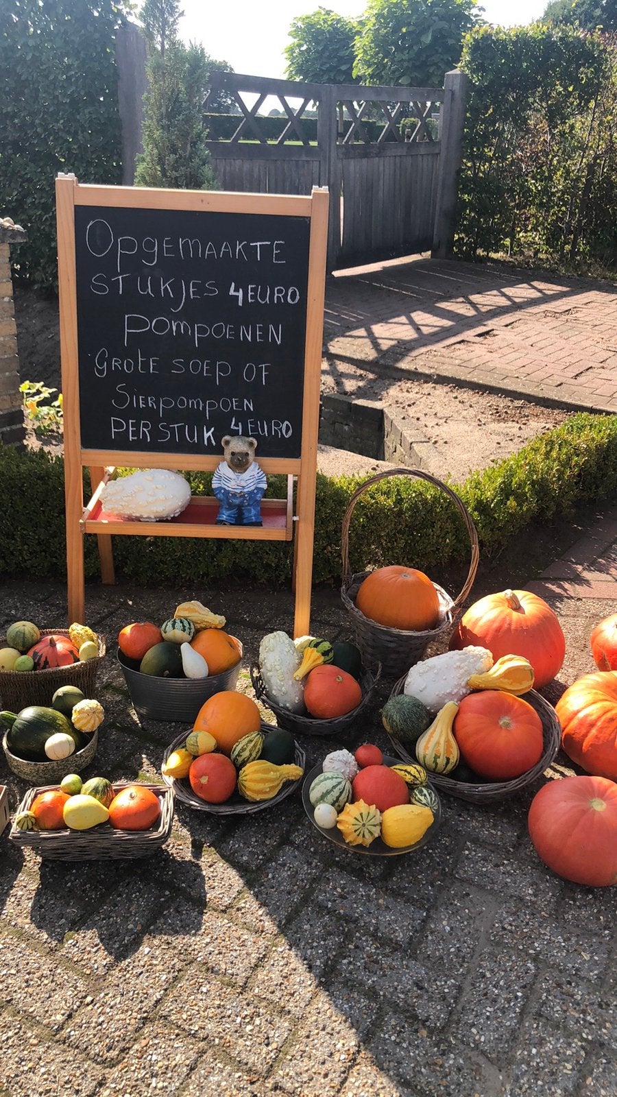 Pompoenen!!!, Ophalen, Nieuw