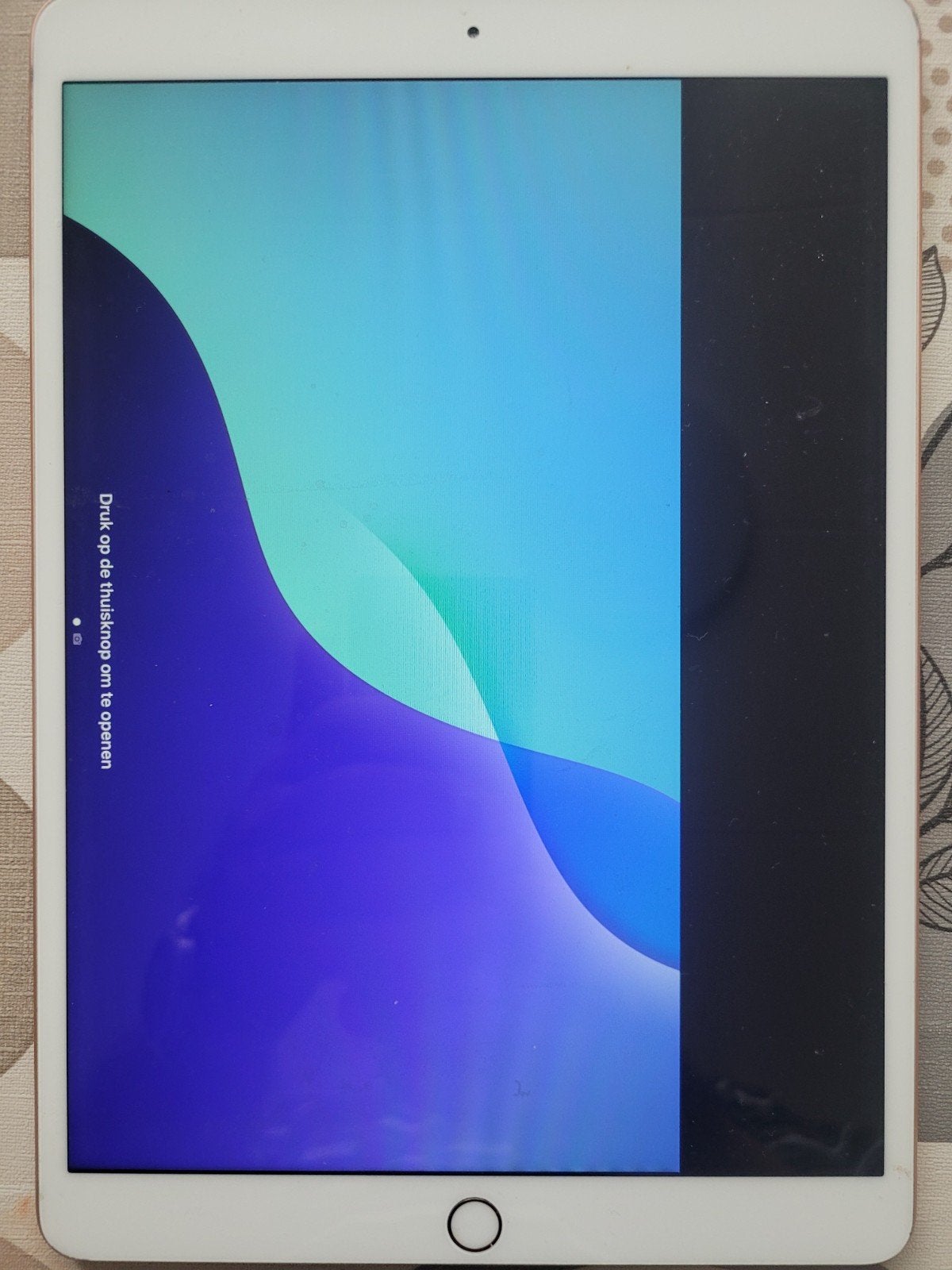 Foto 4 van ipad 256GB