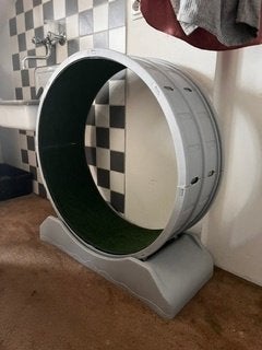 Groot loopwiel voor katten (80 cm doorsnee), Ophalen, Zo goed als nieuw