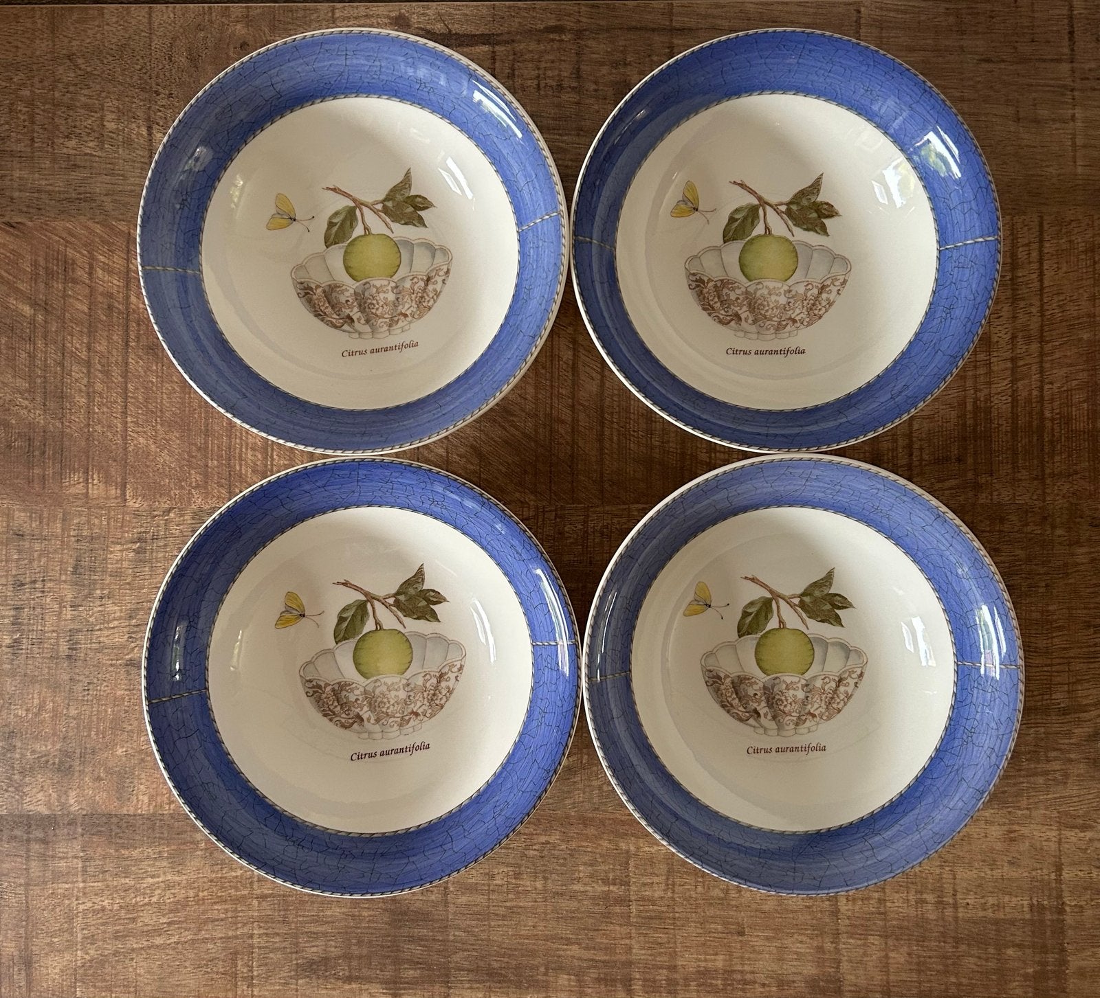 4 Wedgwood Sarah's Garden pap-/dessertschaaltjes, Keramiek, Ophalen of Verzenden, Wedgwood, Schaal of Schalen