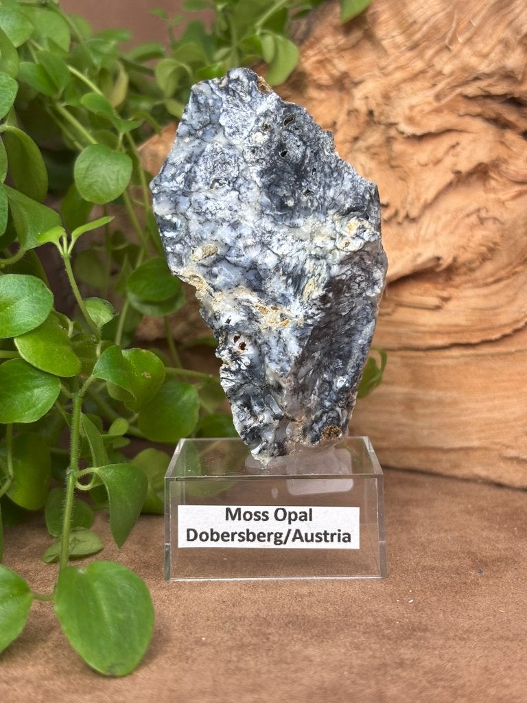 Moss Opal uit Dobersberg, Verzamelen, Ophalen of Verzenden, Mineraal