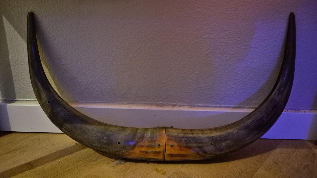 Indische karbouw horens met wajang en draak inscriptie, Ophalen of Verzenden