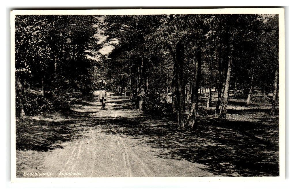 Appelscha, Boschlaantje, Verzenden, 1920 tot 1940, Gelopen, Friesland