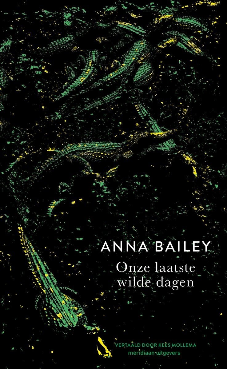 Onze laatste wilde dagen - Anna Bailey, Ophalen of Verzenden, Zo goed als nieuw, Europa overig