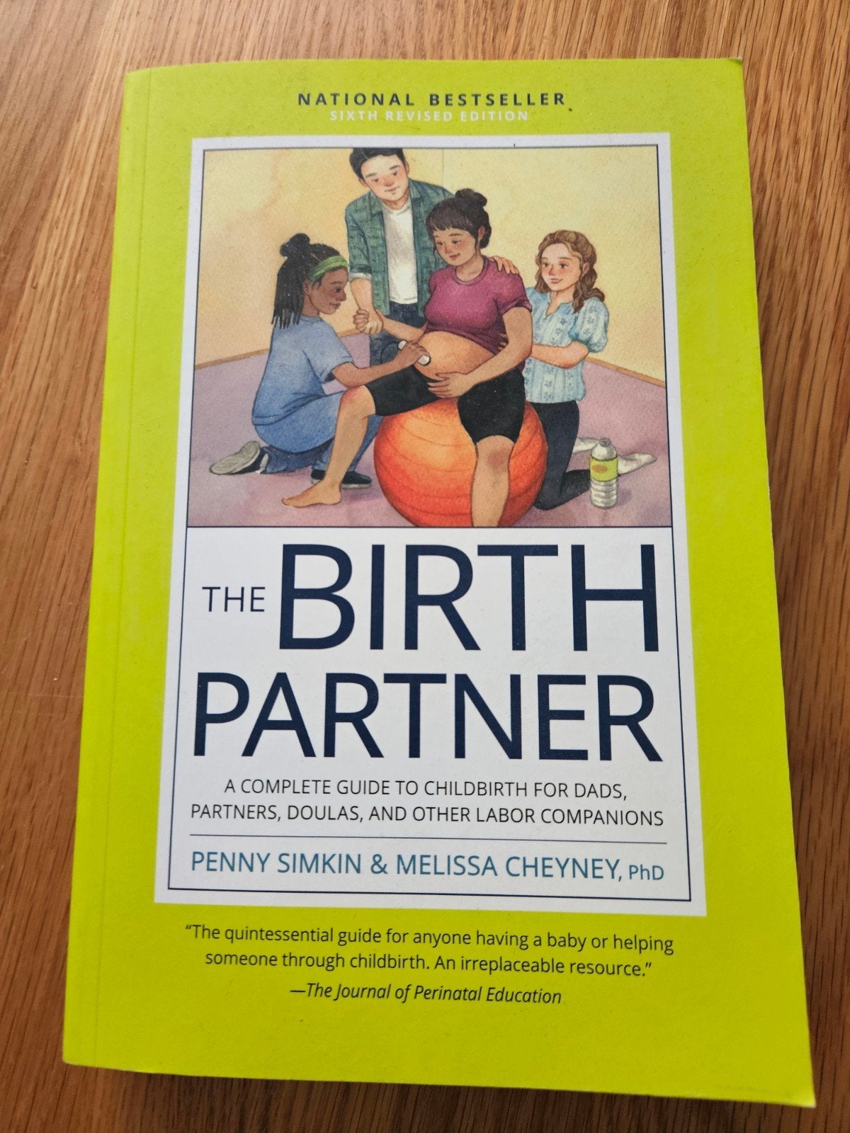 the birth partner, Ophalen of Verzenden, Zo goed als nieuw, Zwangerschap en Bevalling