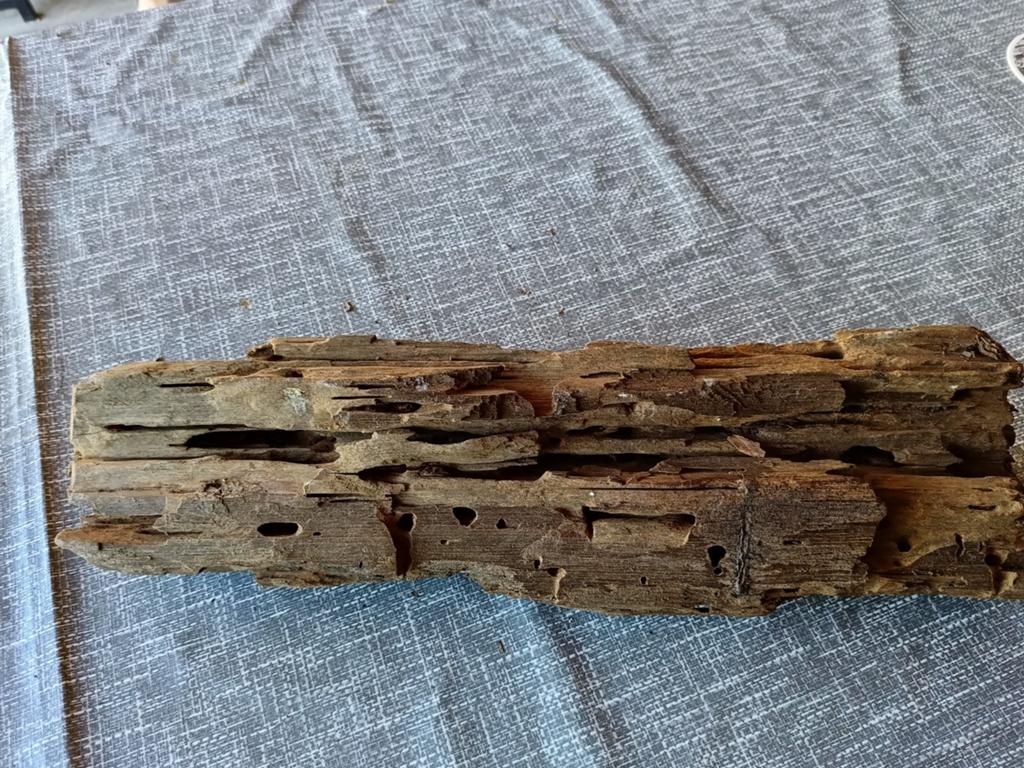Hout voor in terrarium, Ophalen, Tak, Plant, Rots of Steen