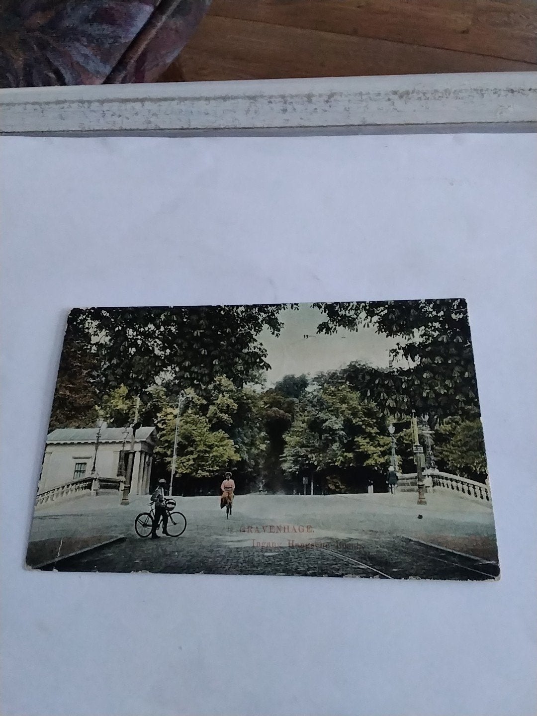 Oude ansichtkaart 's-Gravenhage, Ingang Haagsche Bosch 1913, Ophalen of Verzenden
