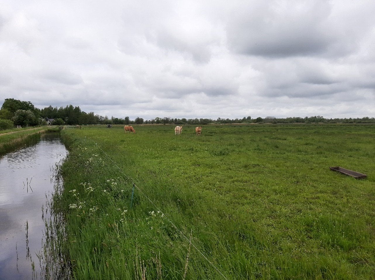 Gezocht: Grasland om te maaien en persen voor kuilbalen, Ophalen of Verzenden