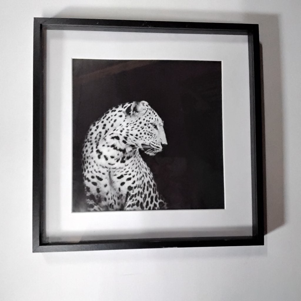 Schilderij  luipaard, Gebruikt, 50 tot 75 cm, Ophalen of Verzenden, Schilderij