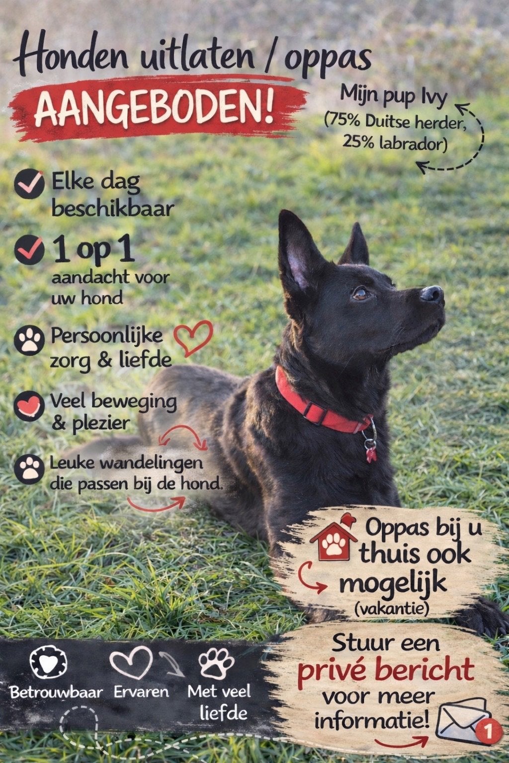 Honden uitlaten aangeboden, Ophalen