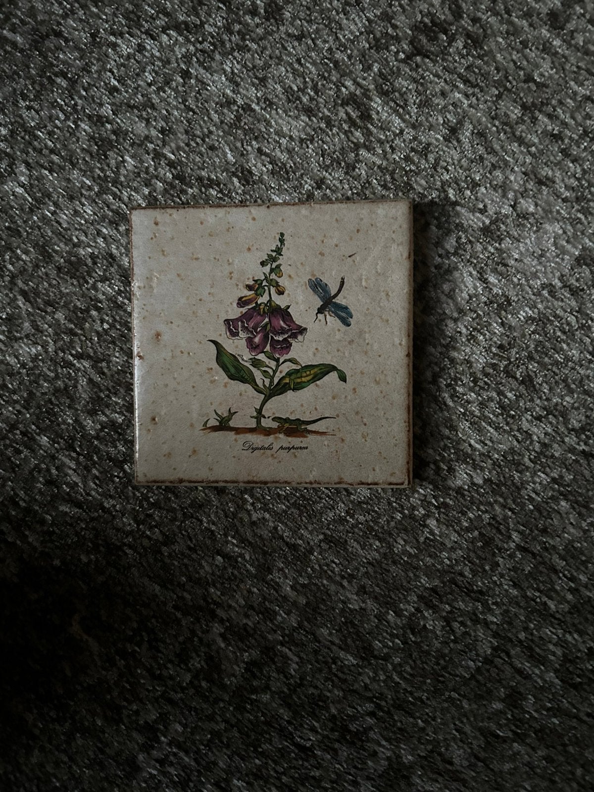Tegeltjes, Ophalen of Verzenden