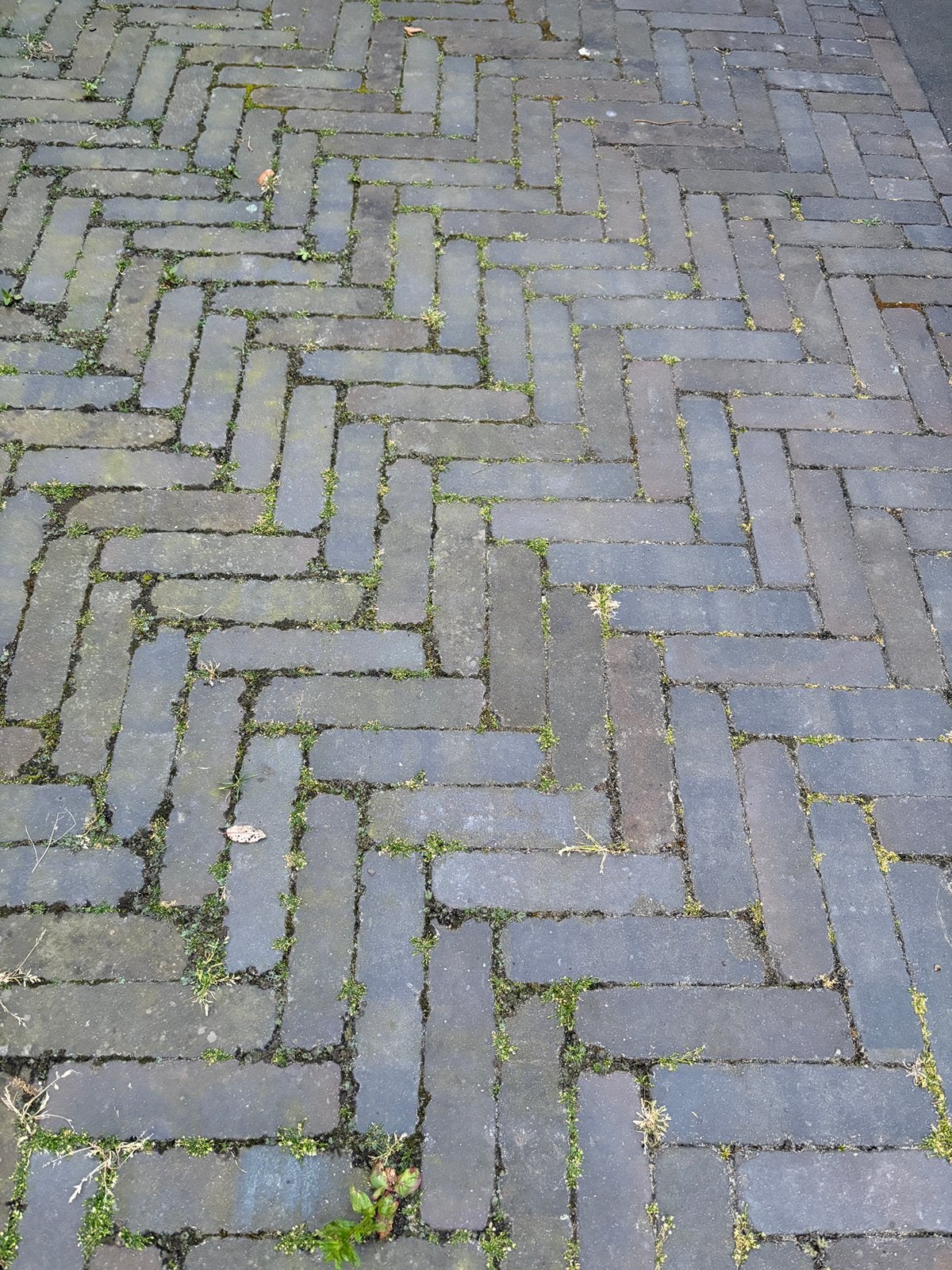 Waaltjes 13m2, Tuin en Terras, Tegels en Klinkers, Ophalen, Gebruikt, Klinkers, 10 m² of meer