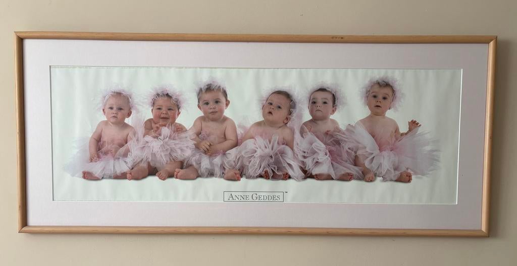 Ingelijste fotoposter van Anne Geddes - Zes baby's, Ophalen, Gebruikt, Oorspronkelijke maker, 75 tot 100 cm