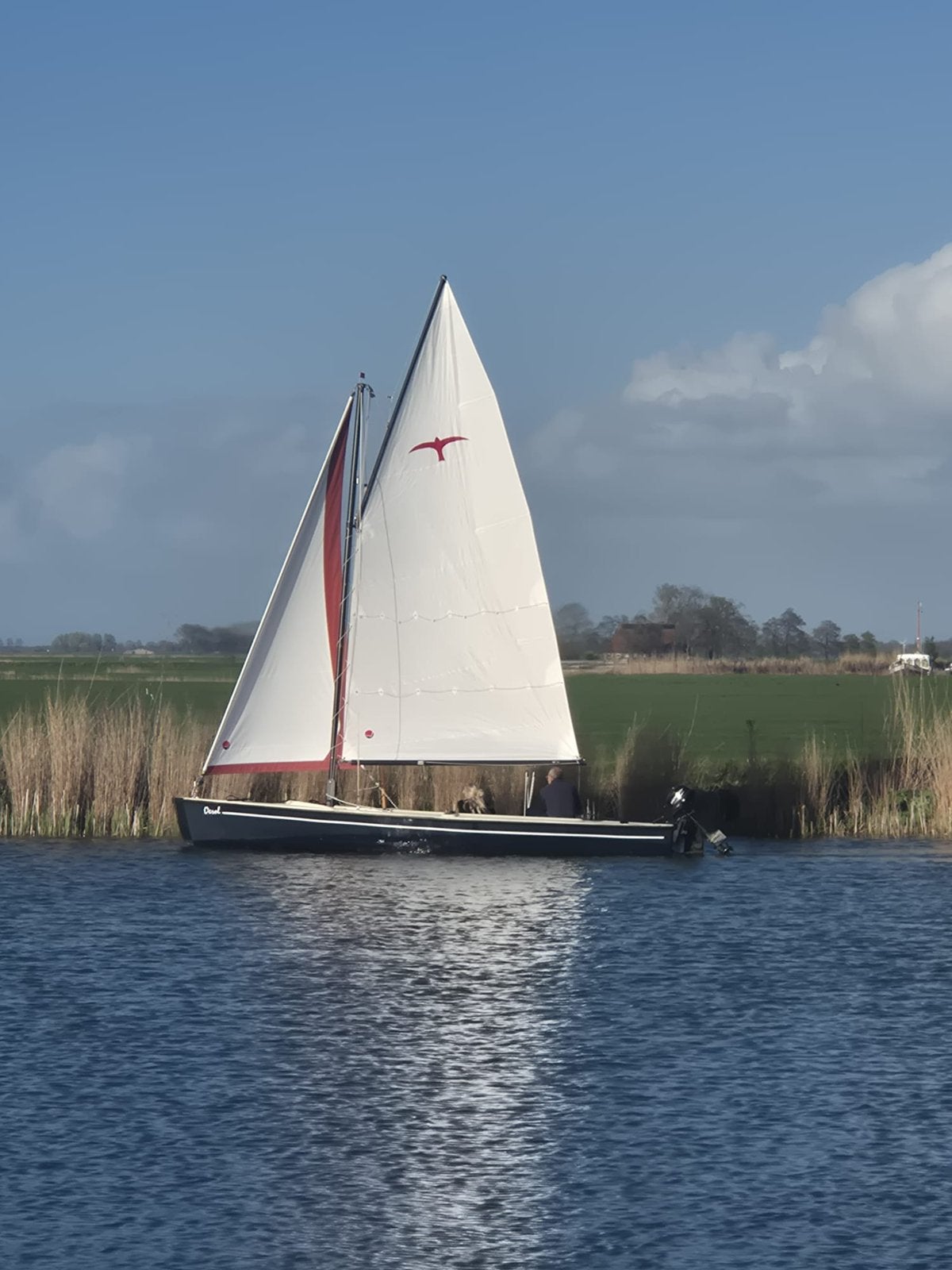 Polyester Valk met zo goed als nieuw grootzeil(Miedema)!, Ophalen, 6 meter of meer, Gebruikt, Minder dan 15 m²