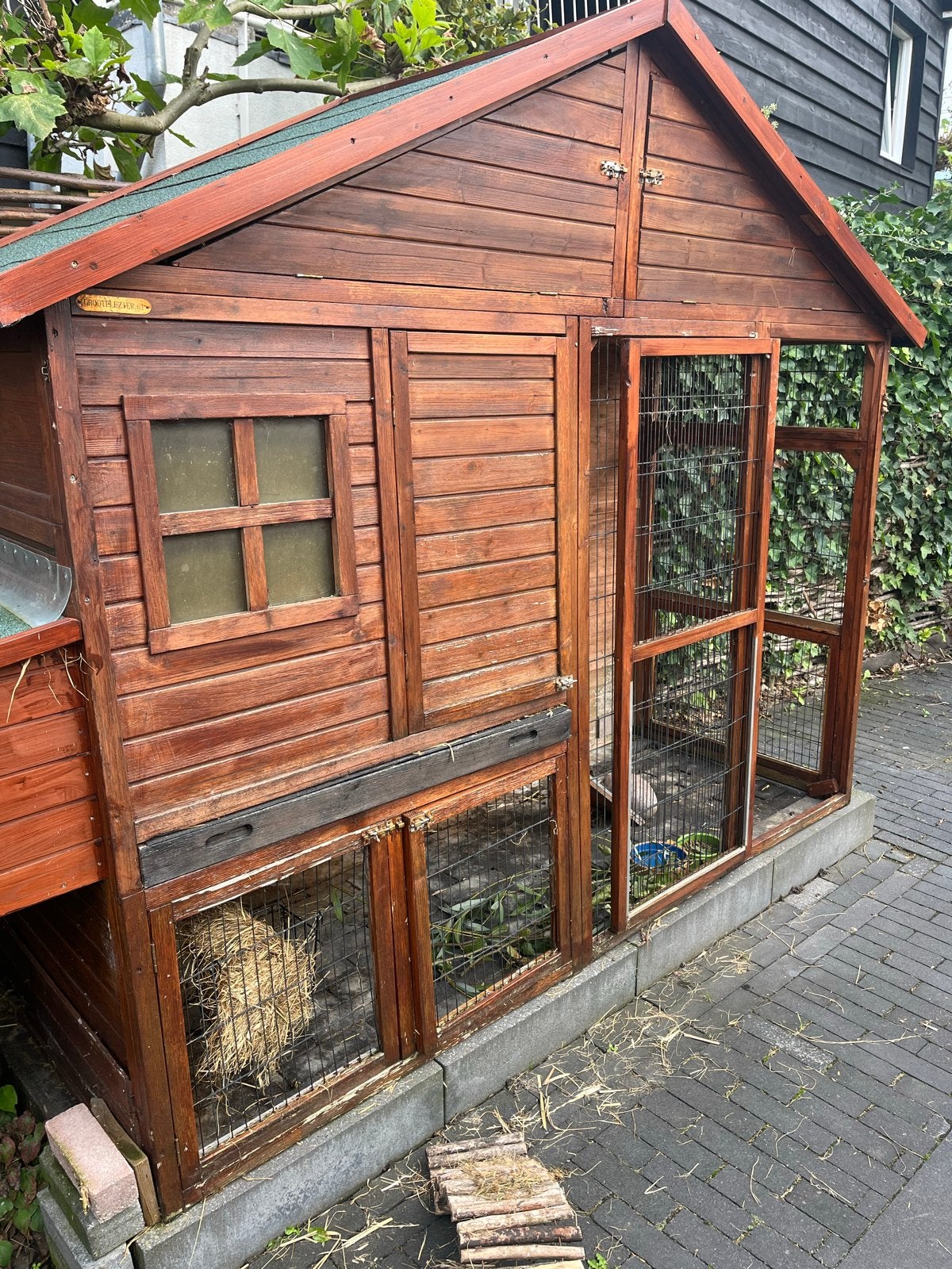 Groot konijnenhok met nestkast en plexiglas - met konijn, Ophalen, 90 cm of meer, Konijn, Hok