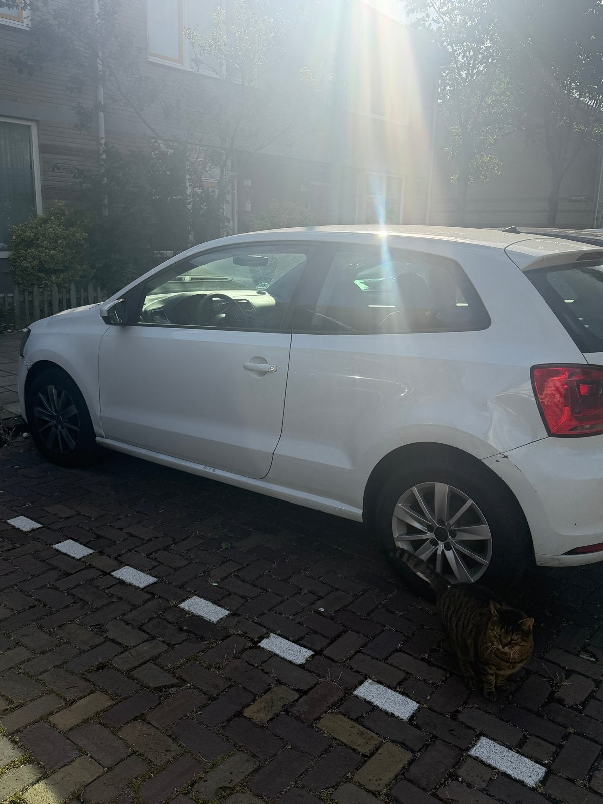 Volkswagen Polo 1.4 TDI 55KW BMT 2015 Wit, Ophalen of Verzenden, Nieuw, Volkswagen, Motorkap