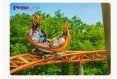 4 kaartjes plopsaland ardennes, Drie personen of meer, Ticket of Toegangskaart