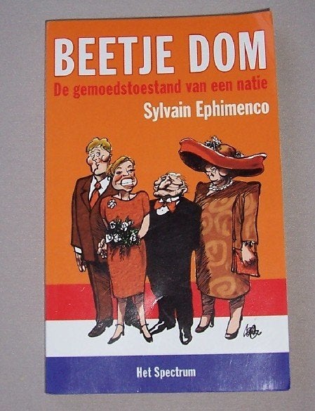 Beetje dom - gemoedstoestand v/e natie - Sylvain Ephimenco, Ophalen of Verzenden, Zo goed als nieuw, Sylvain Ephimenco, Eén auteur