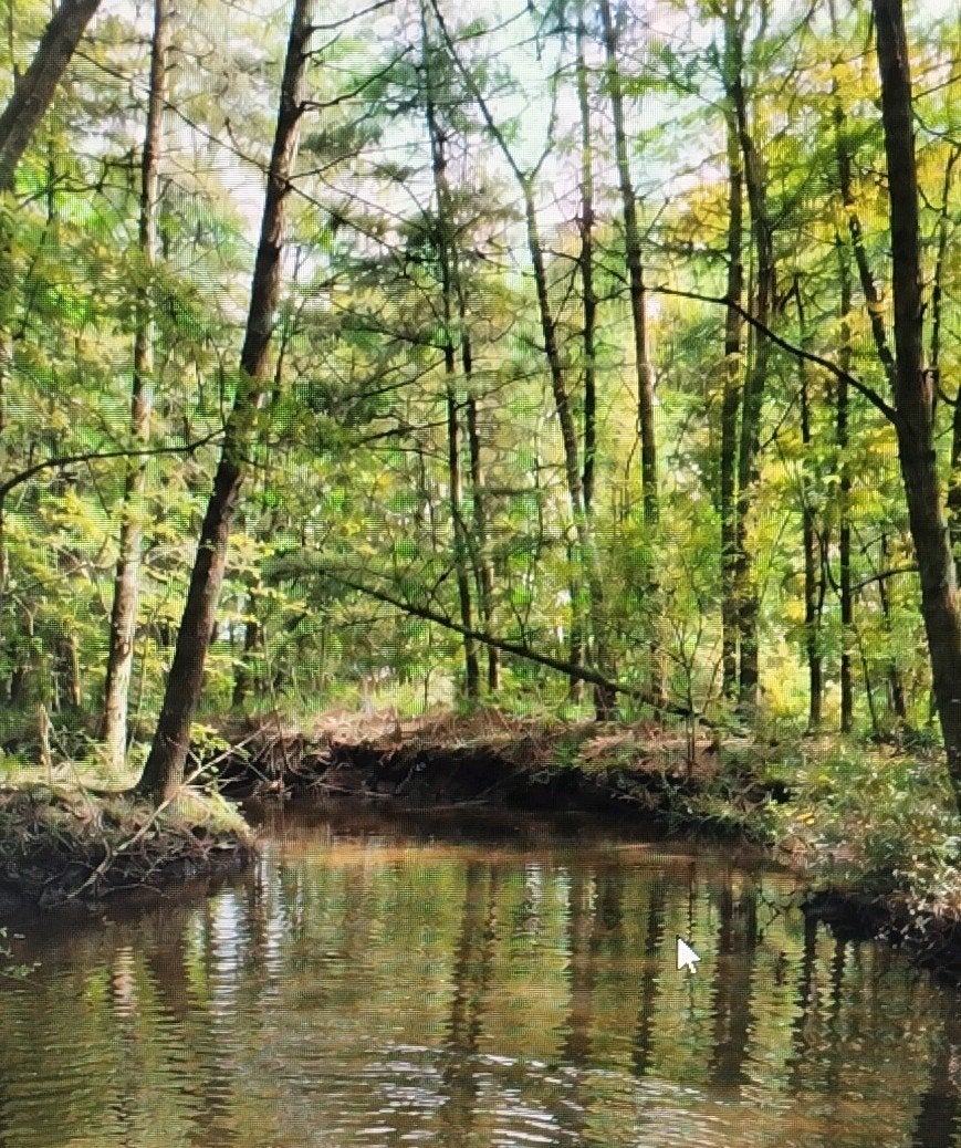 Te huur, natuur, coaching locatie, Ophalen, Nieuw