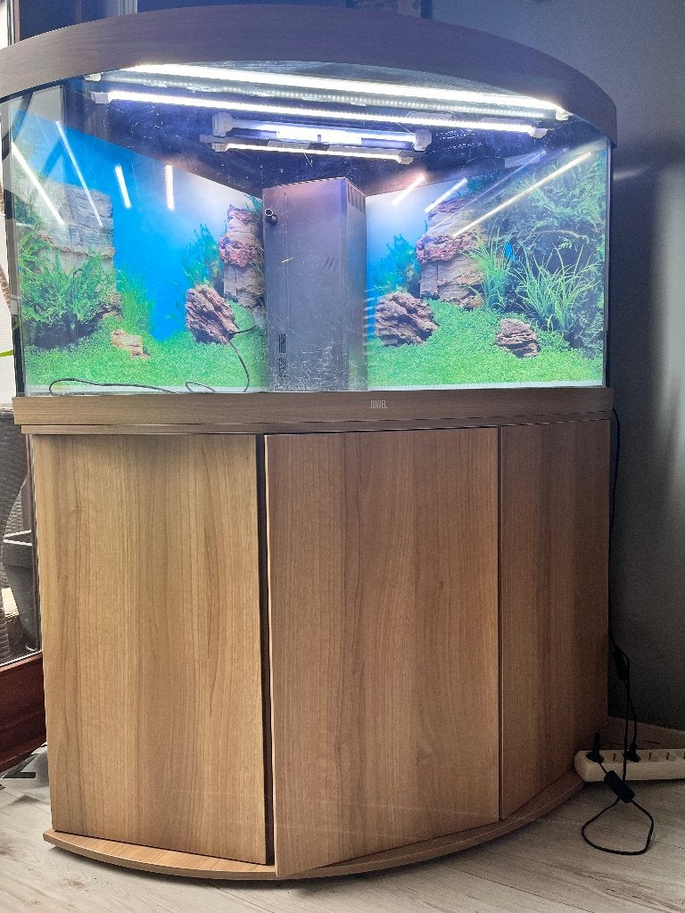 Aquarium juwel trigon 350, Dieren en Toebehoren, Vissen | Aquaria en Toebehoren, Ophalen, Gebruikt, Leeg aquarium, Juwel