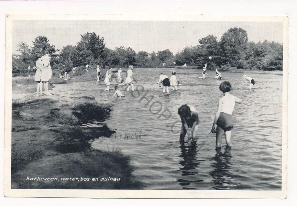Bakkeveen  [003-5573, Verzenden, 1940 tot 1960, Gelopen, Noord-Holland