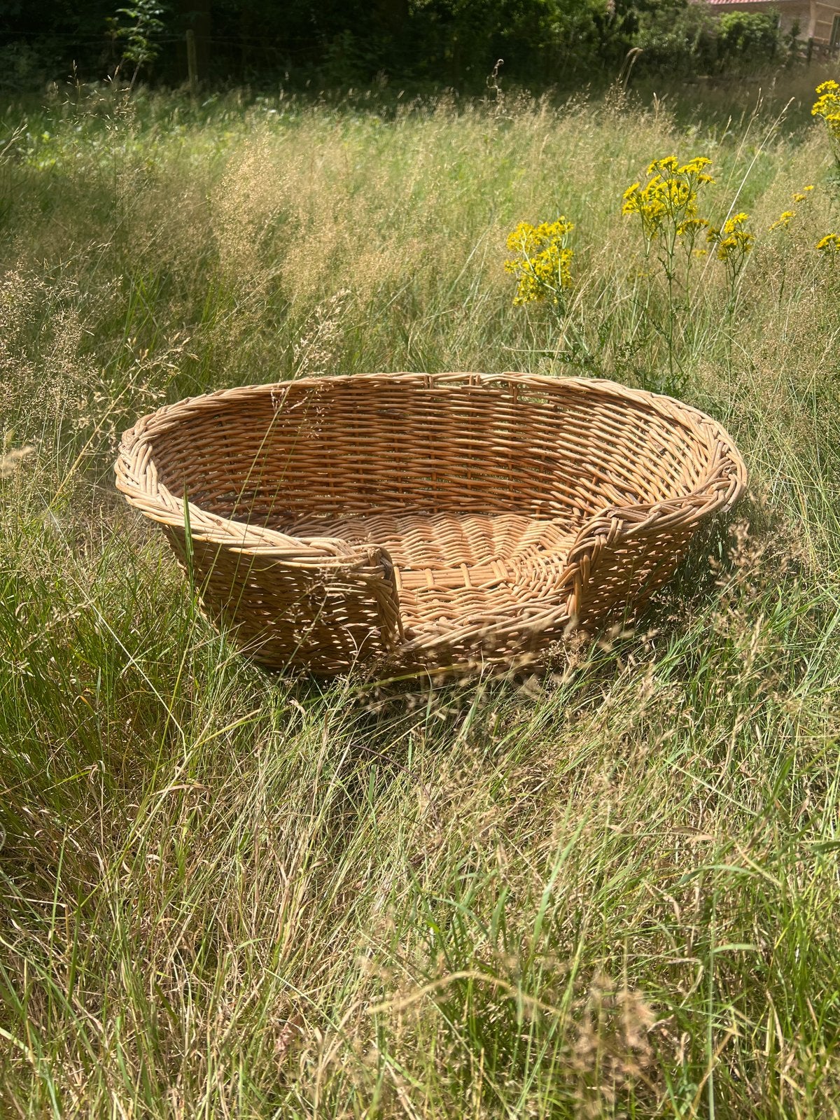 Rieten hondenmand, Dieren en Toebehoren, Honden-accessoires, Ophalen