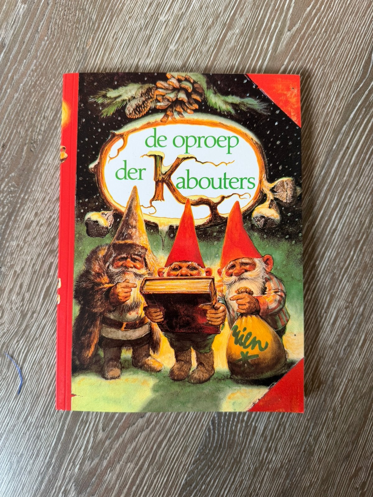 De oproep der Kabouters van Rien Poortvliet, Boeken, Ophalen of Verzenden, Zo goed als nieuw