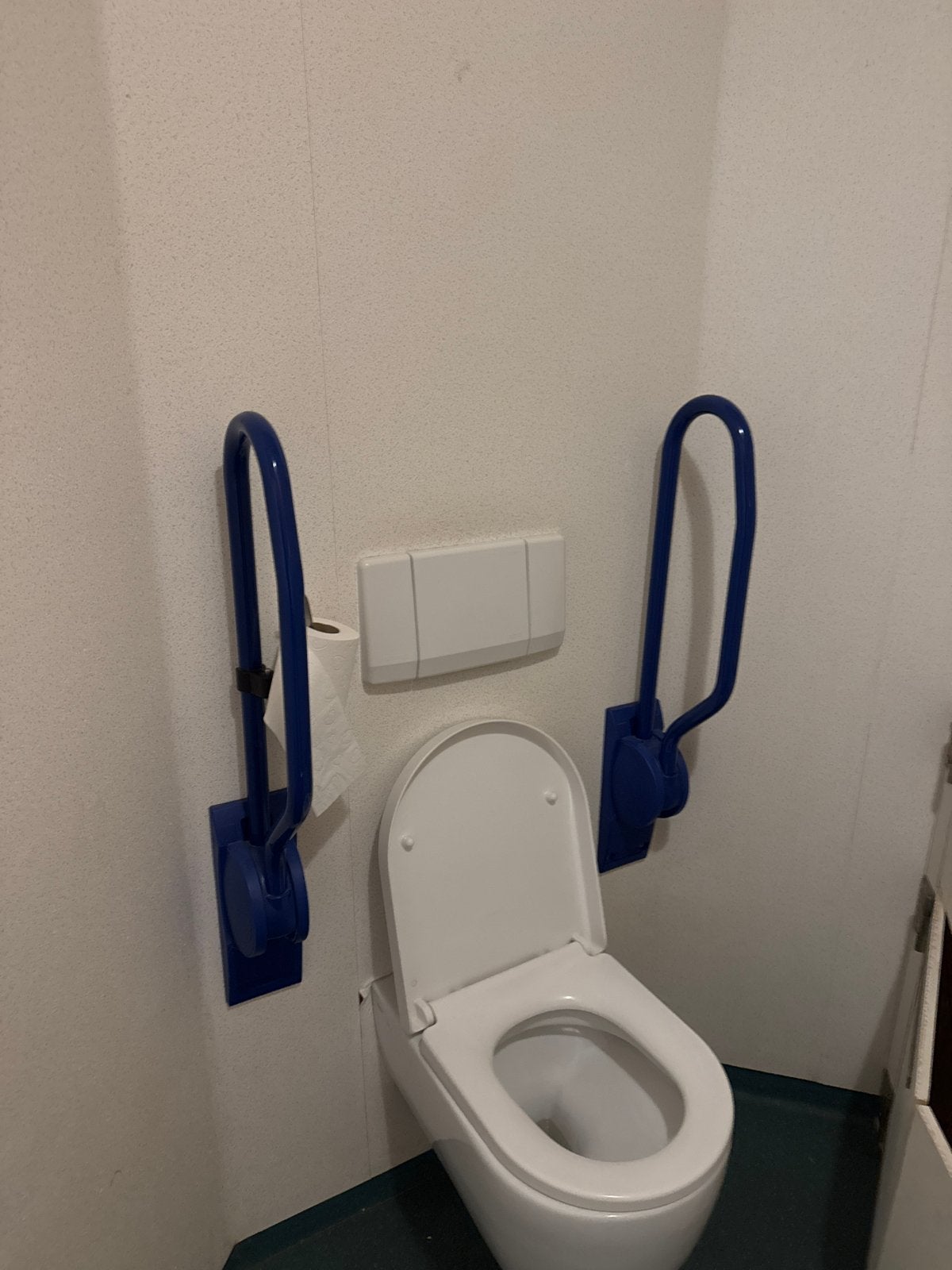 Invalide hulpmiddelen sanitair: 2x armsteunen toilet en douc, Ophalen of Verzenden, Gebruikt, Toilet