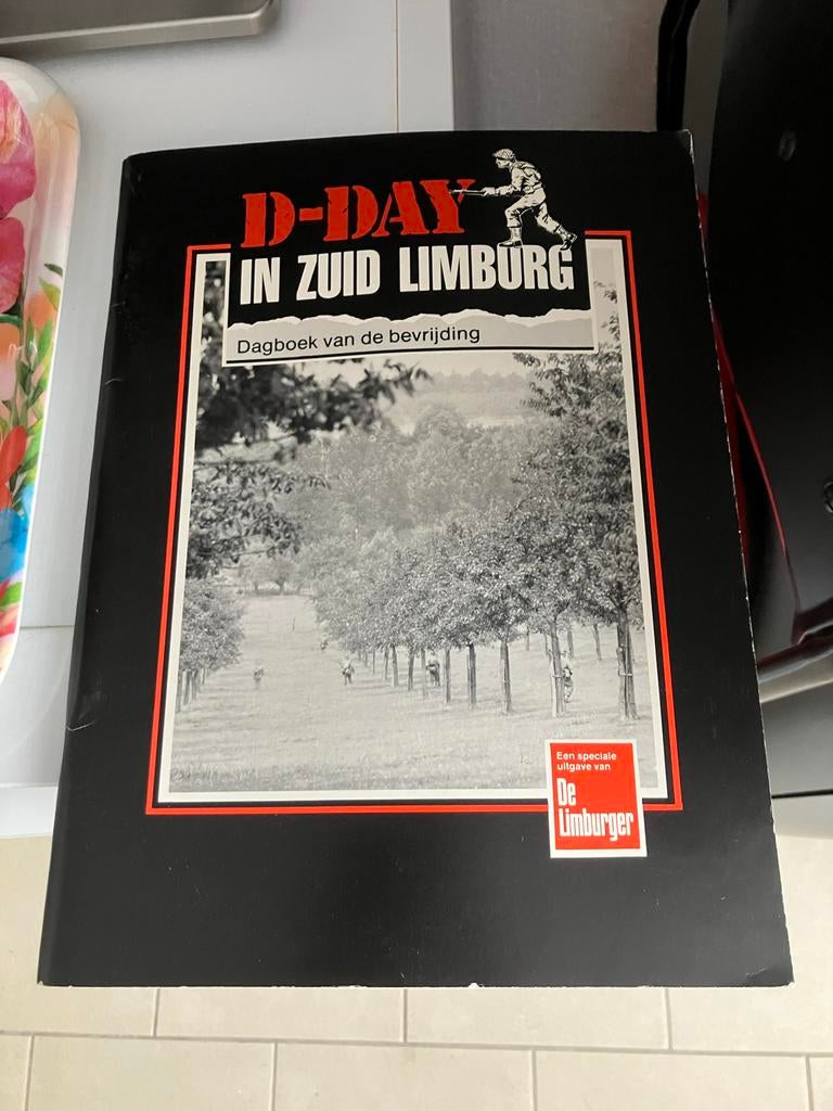 D-Day in Zuid Limburg: Dagboek van de bevrijding, Ophalen of Verzenden, 20e eeuw of later, Gelezen