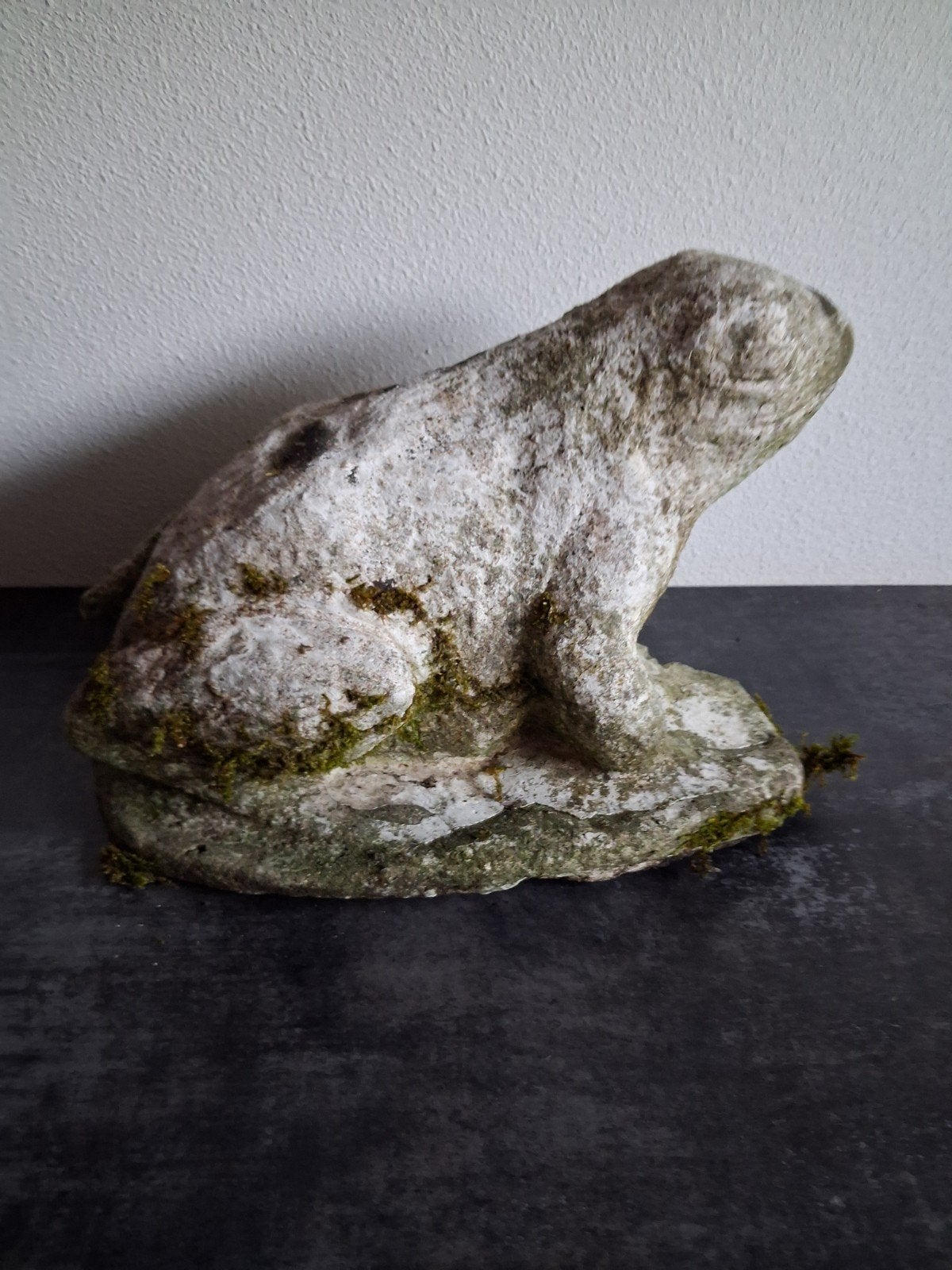 kikker van beton voor in de tuin, Ophalen, Gebruikt, Beton, Dierenbeeld