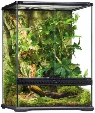 Zeer mooie exo terra 45x45x60 ZGAN, Ophalen, Zo goed als nieuw, Terrarium of Paludarium