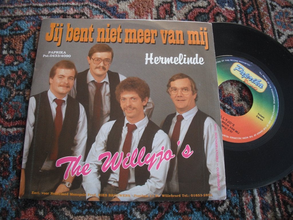 The Willyjo's - Jij bent niet meer van mij., Cd's en Dvd's, Vinyl | Nederlandstalig, Ophalen of Verzenden, Zo goed als nieuw, 12 inch