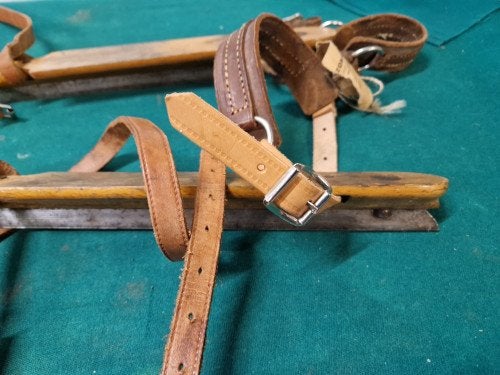 nooitgedagt schaatsen, friese doorlopers, Tickets en Kaartjes