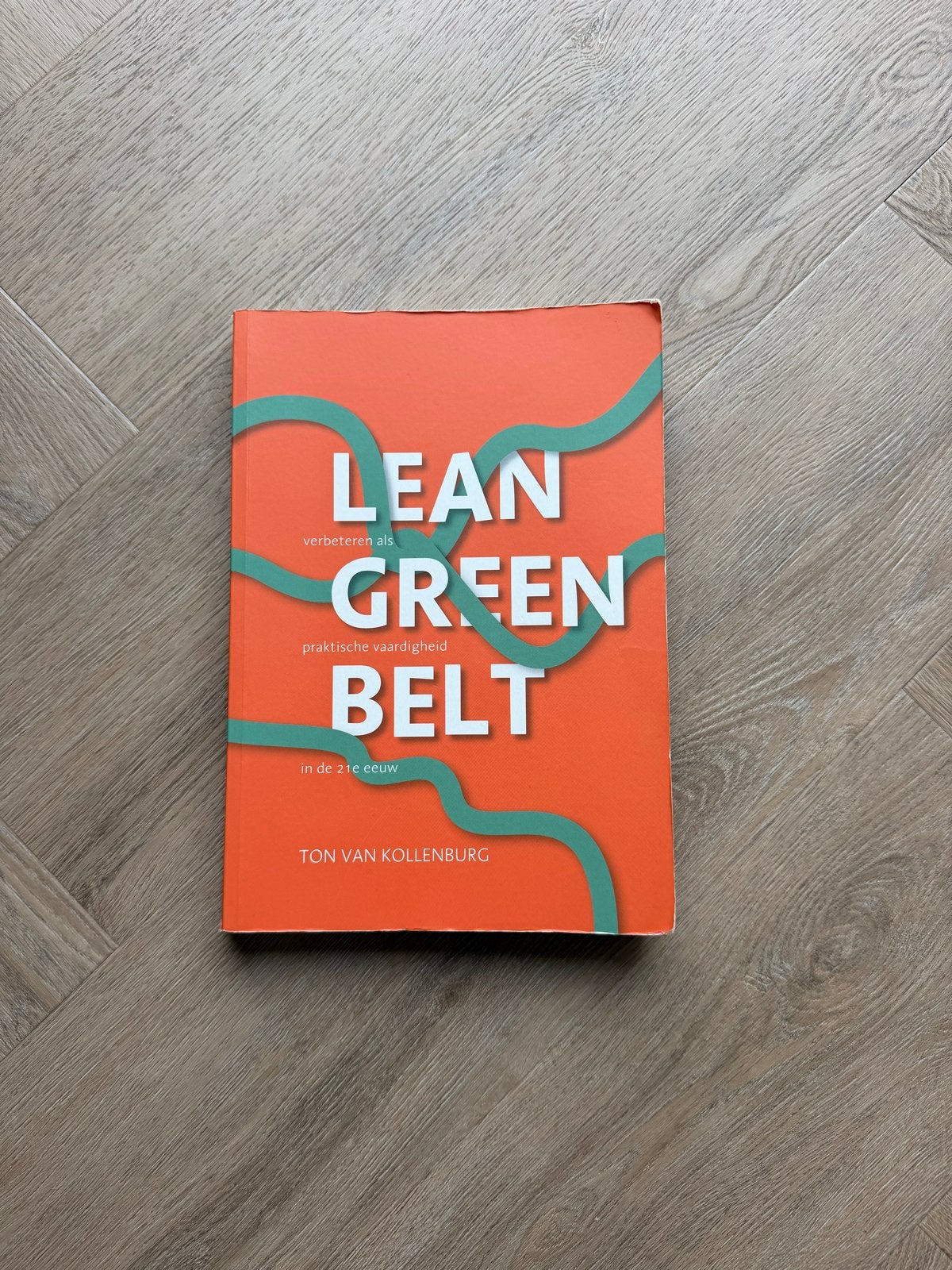 Lean Green Belt - Ton van Kollenburg, Ophalen of Verzenden, Gamma, Zo goed als nieuw, HBO